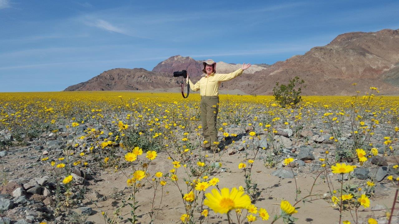 Death Valley desert gold to the horizon